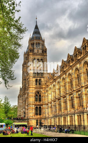 Musée d'Histoire Naturelle de Londres - Royaume-Uni Banque D'Images