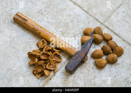 Amandes bio frais avec Shell et un marteau Banque D'Images