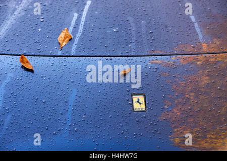 Gouttes de pluie et les feuilles d'automne sur une Ferrari bleu bonnet Banque D'Images