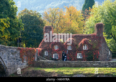 Tu Hwnt J'r Bont de thé dans le pittoresque cottage du 15ème siècle par de vieux Pont Fawr pont sur la rivière Afon Conwy en automne. Le Nord du Pays de Galles UK Conwy Llanrwst Banque D'Images