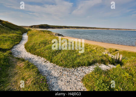 L'île Llanddwyn ; plage en été ; Pays de Galles ; Royaume-Uni ; d'Anglesey Banque D'Images
