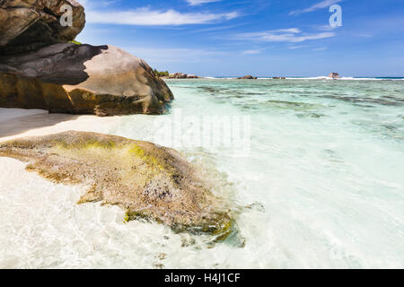 White Beach près de Source D'Argent à La Digue, Seychelles avec une roche de granit couvert d'algues dans l'avant-plan Banque D'Images