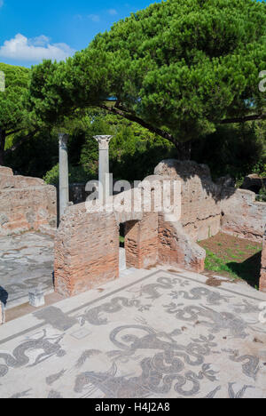 Terme di Nettuno Italie Rome Ostia Antica Banque D'Images