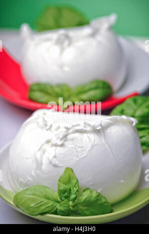 La mozzarella de bufflonne italien frais Banque D'Images