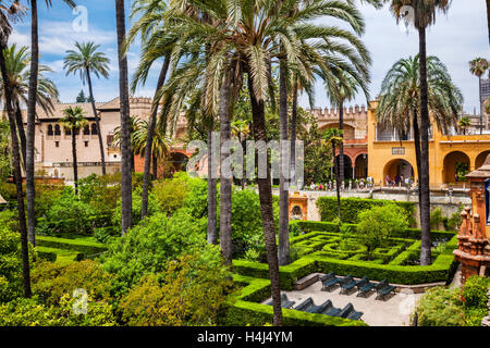 Espagne, Andalousie, province de Séville, Séville, les jardins de l'Alcazar palace Banque D'Images