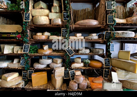 FROMAGERIE des fromages français sur rustique plein de charme s'affichent dans la fromagerie artisanale 'fromagerie Caseus' Montreuil sur Mer France Banque D'Images