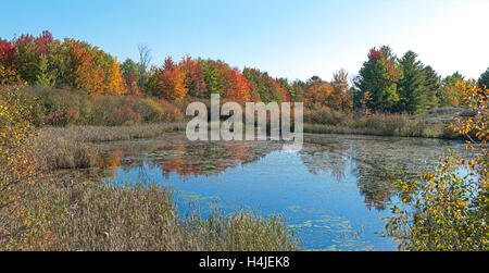 Les couleurs de l'automne dynamique reflété dans le lac pays calme. Banque D'Images