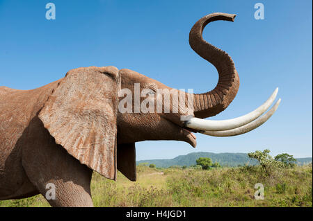 Éléphant statue à l'entrée du Parc National d'Arusha, Tanzanie Banque D'Images