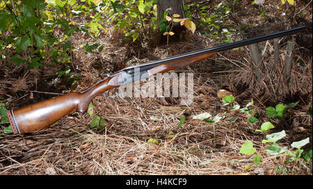 Fusil de chasse avec deux canons qui est dans une forêt avec des aiguilles de pin Banque D'Images