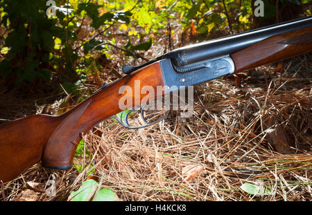 Double barillet fusil de chasse avec des aiguilles de pin dans une forêt Banque D'Images