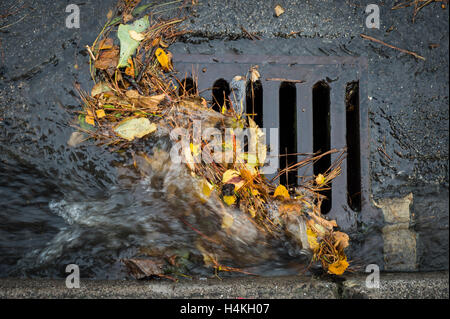 Vidange bloqués avec des feuilles et de l'eau de pluie. Banque D'Images