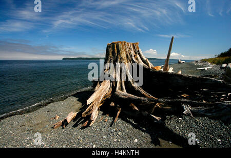 Plage de port Macneill. L'île de Vancouver. La Colombie-Britannique. Canada Banque D'Images