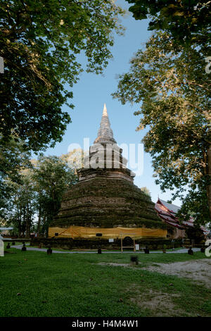 Wat Che Di Luang,ce temple, avec son grand chedi, était probablement le temple principal de la ville pendant l'apogée de la ville il y a 650 ans. Banque D'Images