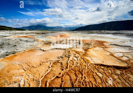 Le Parc National de Yellowstone Banque D'Images