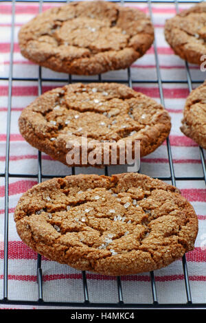 Des petits biscuits au gingembre avec des cristaux de sucre black metal grille de refroidissement sur le rouge et blanc à rayures torchon. En forme verticale Banque D'Images