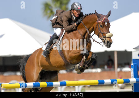 Todd Minikus (USA) équitation Olinda, Winter Equestrian Festival de Wellington, Floride, mars 2007, bénéficier de Chesapeake pour une tasse Banque D'Images