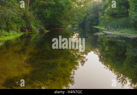 Sur un petit bras de rivière Vorskla ukrainien à la fin de saison d'été Banque D'Images