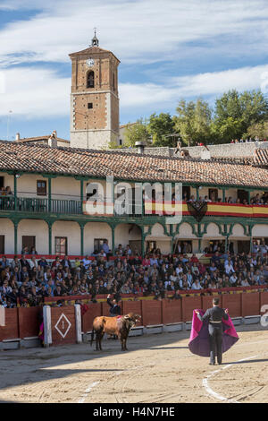 La corrida traditionnelle stamp dans la place principale de chinchon pendant le festival de bienfaisance, Chinchon, province de Madrid, Espagne Banque D'Images