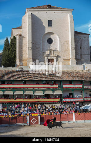 La corrida traditionnelle stamp dans la place principale de chinchon pendant le festival de bienfaisance, Chinchon, province de Madrid, Espagne Banque D'Images