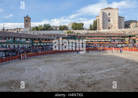 La corrida traditionnelle stamp dans la place principale de chinchon pendant le festival de bienfaisance, Chinchon, province de Madrid, Espagne Banque D'Images