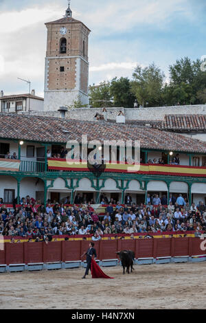 La corrida traditionnelle stamp dans la place principale de chinchon pendant le festival de bienfaisance, Chinchon, province de Madrid, Espagne Banque D'Images