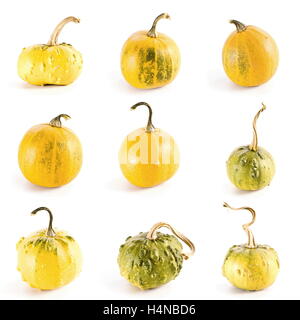 Série de 9 citrouilles colorés variés sur fond blanc Banque D'Images