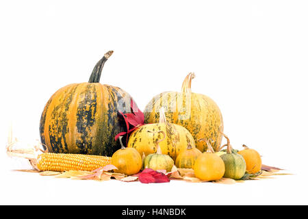 Les feuilles d'automne, le maïs et les citrouilles isolé sur fond blanc, automne Banque D'Images