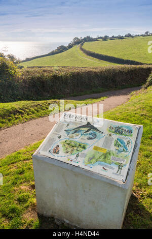 Un panneau d'information à la bière sur le SW Coast Path et la côte jurassique du sud du Devon, England, UK Banque D'Images