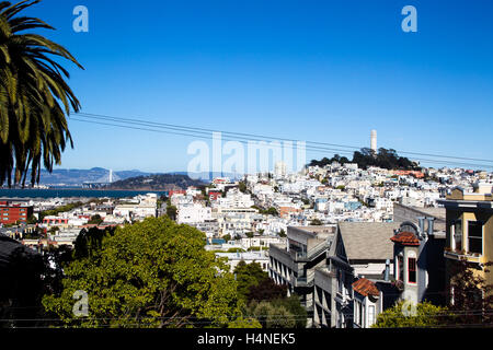 Vue sur la Coit Tower et Telegraph Hill dans le centre-ville de San Francisco, Californie, USA. Banque D'Images