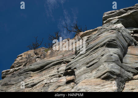 Jusqu'à la quartzite métamorphique d'arbres au sommet de la grande région de Pinnacle Mountain State Park Pilote. Caroline du Nord Banque D'Images