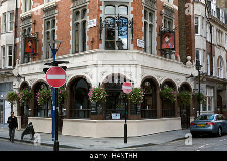 Le George IV pub, Portsmouth Road, London, UK Banque D'Images