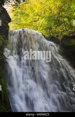 La lèvre de chute Cascade Foss, près de Whitby, dans le Yorkshire du Nord Banque D'Images