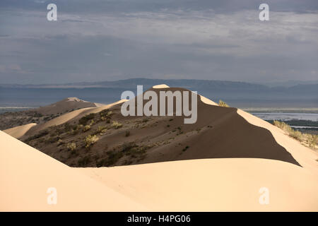 Haut de dunes barchan dune de sable de chanter Altyn Emel Parc indiquant à l'Ili et montagnes violettes au Kazakhstan Banque D'Images