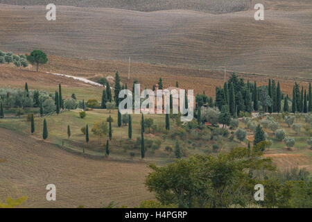 Vue panoramique à Val d'Orcia de Montalcino, Toscane, Italie Banque D'Images