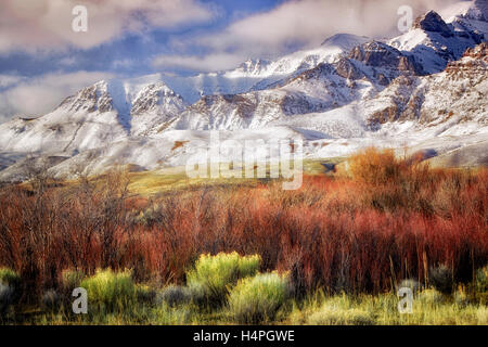 Steens Mountain avec une neige fraîche et rouge des saules. Oregon Banque D'Images