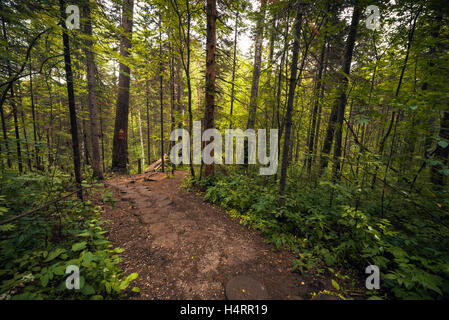 Parc naturel de Ruchi Oleni (région de Sverdlovsk) Banque D'Images