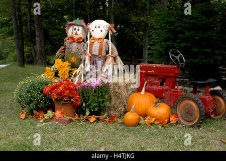 Décoration automne en plein air avec des épouvantails, mamans, tracteur, et les citrouilles Banque D'Images