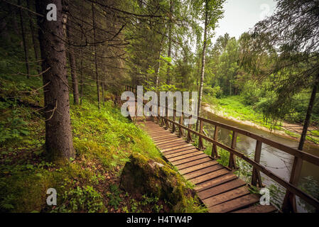 Parc naturel de Ruchi Oleni (région de Sverdlovsk) Banque D'Images