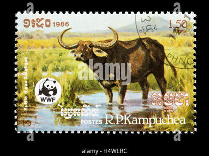 Timbre-poste représentant un Buffalo du Cambodge Banque D'Images