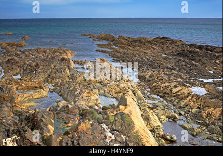 Vue d'un rivage rocheux de la baie à Banff, Banff, Aberdeenshire, Ecosse, Royaume-Uni. Banque D'Images