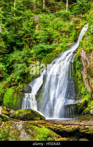 Les chutes de Triberg, une des plus hautes chutes d'eau en Allemagne - la région de la Forêt Noire Banque D'Images