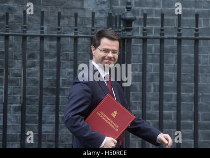 James Brokenshire, secrétaire d'État pour l'Irlande du Nord, arrive au 10 Downing Street, pour une réunion du Cabinet Banque D'Images