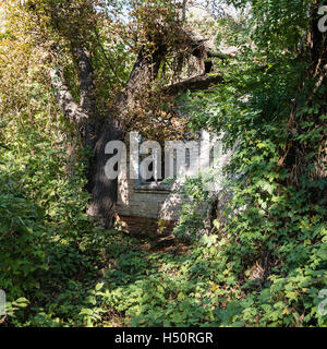 Des maisons abandonnées à Tchernobyl Banque D'Images