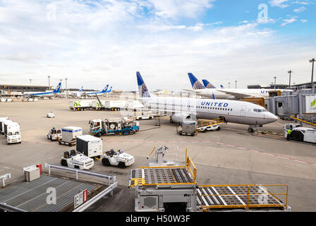 TOKYO - Le 6 mars : une flotte de United Airlines en cours d'entretien des avions sur le tarmac de l'aéroport de Narita, le 6 mars 2015. Banque D'Images