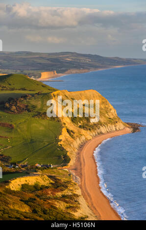 Golden Cap, Dorset, UK. 18 octobre 2016. Météo britannique. Vue vers l'Est de la côte jurassique du Dorset à l'ensemble de Niche colline en direction de West Bay, illuminé par le soleil de fin d'après-midi magnifique vue depuis le dessus de la Golden Cap. Cap d'or est la plus haute falaise sur la côte sud de l'Angleterre. Photo : Graham Hunt/Alamy Live News Banque D'Images