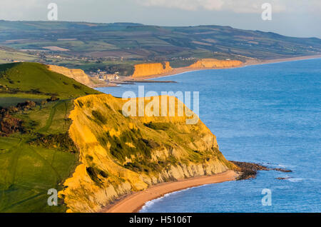 Golden Cap, Dorset, UK. 18 octobre 2016. Météo britannique. Vue vers l'Est de la côte jurassique du Dorset à l'ensemble de Niche colline en direction de West Bay, illuminé par le soleil de fin d'après-midi magnifique vue depuis le dessus de la Golden Cap. Cap d'or est la plus haute falaise sur la côte sud de l'Angleterre. Photo : Graham Hunt/Alamy Live News Banque D'Images