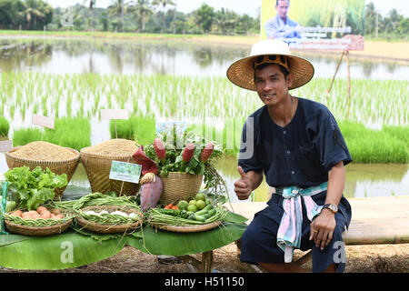 SINGBURI - THAÏLANDE : 18 paysans cultivant le riz en faisant preuve d'économie suffisante comme des rois et la Thaïlande montrent leur loyauté à la monarchie à Bangrachan le 18 octobre 2016 à Singburi, Thaïlande. Banque D'Images