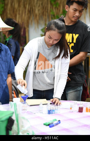 SINGBURI - THAÏLANDE : 18 paysans cultivant le riz en faisant preuve d'économie suffisante comme des rois et la Thaïlande montrent leur loyauté à la monarchie à Bangrachan le 18 octobre 2016 à Singburi, Thaïlande. Banque D'Images