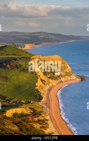 Golden Cap, Dorset, UK. 18 octobre 2016. Météo britannique. Vue vers l'Est de la côte jurassique du Dorset à l'ensemble de Niche colline en direction de West Bay, illuminé par le soleil de fin d'après-midi magnifique vue depuis le dessus de la Golden Cap. Cap d'or est la plus haute falaise sur la côte sud de l'Angleterre. Photo : Graham Hunt/Alamy Live News Banque D'Images