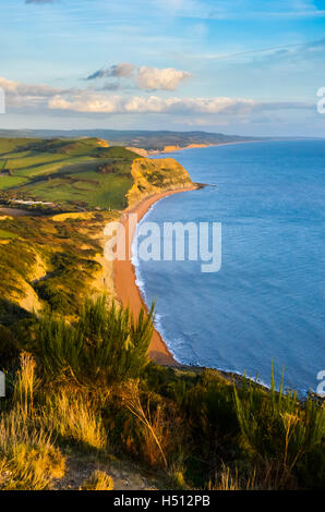 Golden Cap, Dorset, UK. 18 octobre 2016. Météo britannique. Vue vers l'Est de la côte jurassique du Dorset à l'ensemble de Niche colline en direction de West Bay, illuminé par le soleil de fin d'après-midi magnifique vue depuis le dessus de la Golden Cap. Cap d'or est la plus haute falaise sur la côte sud de l'Angleterre. Photo : Graham Hunt/Alamy Live News Banque D'Images